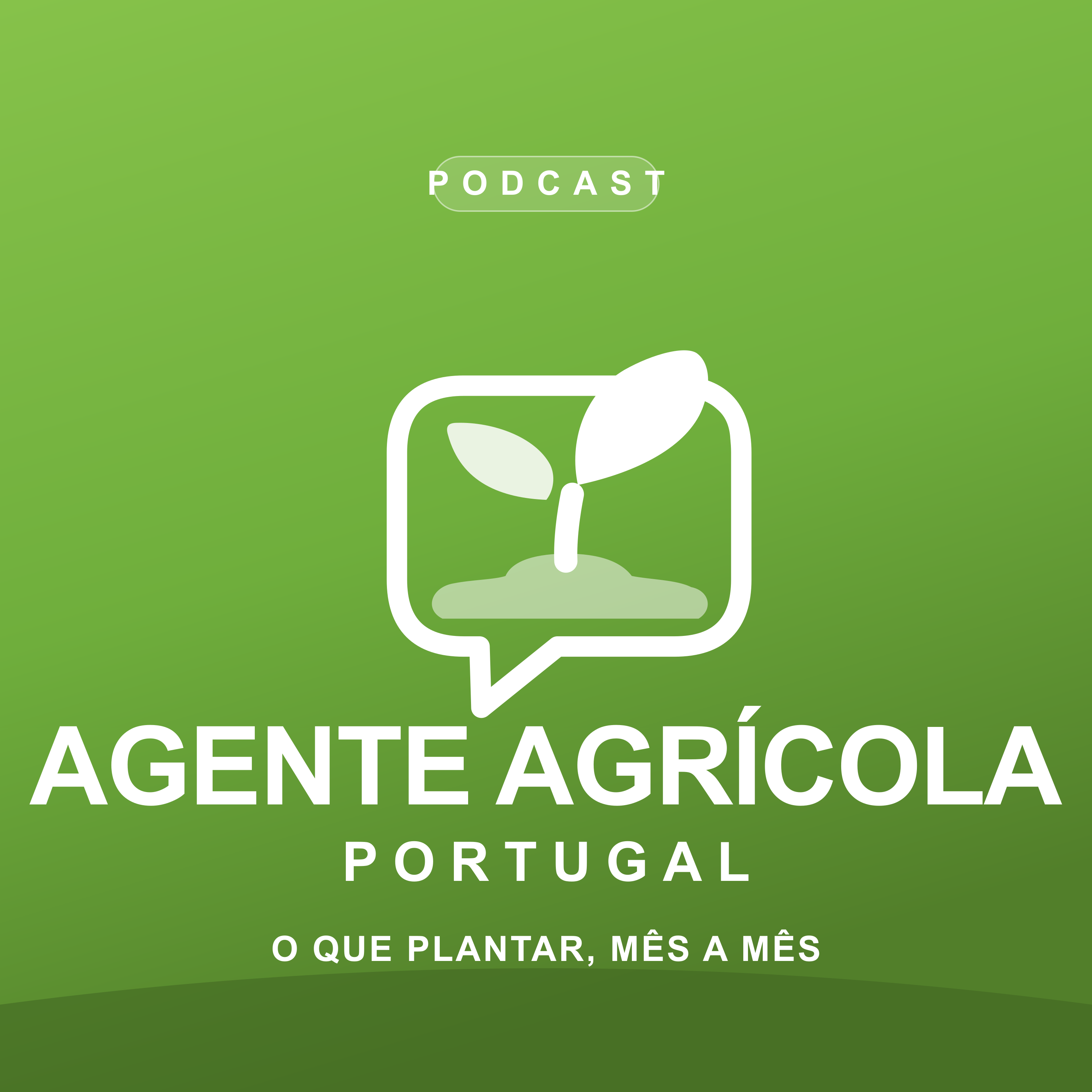 Capa do episódio: Regar a horta no verão sem desperdiçar — o guia rápido
